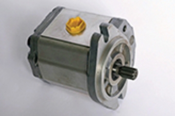 3600286.jpg